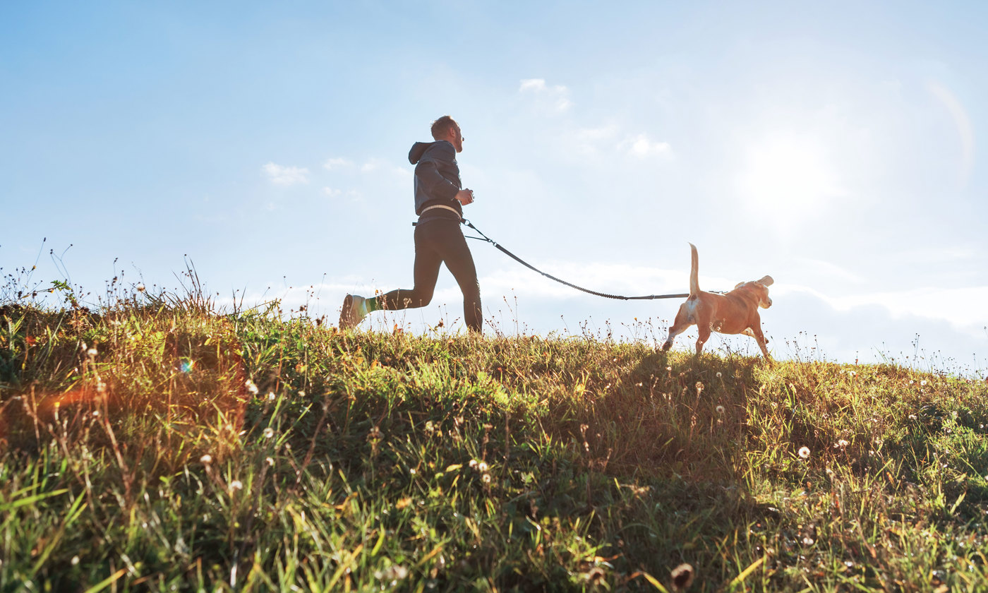 Man runs with his beagle dog at sunny morning