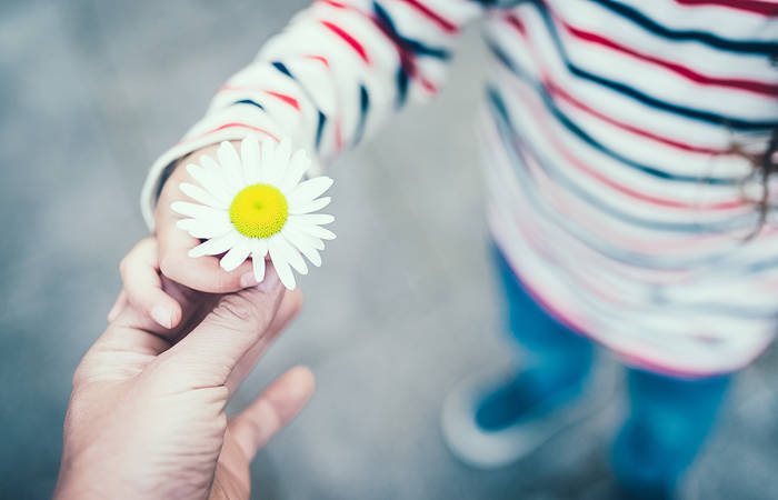 Parent and child hands handing white flower