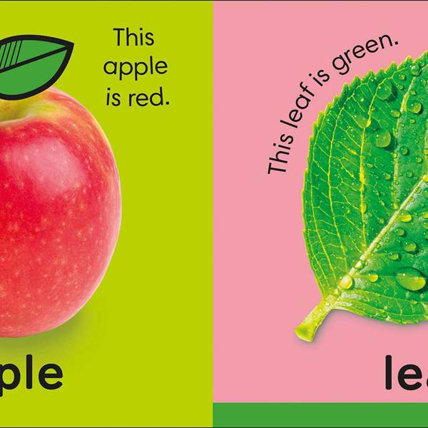 Baby’s First Words